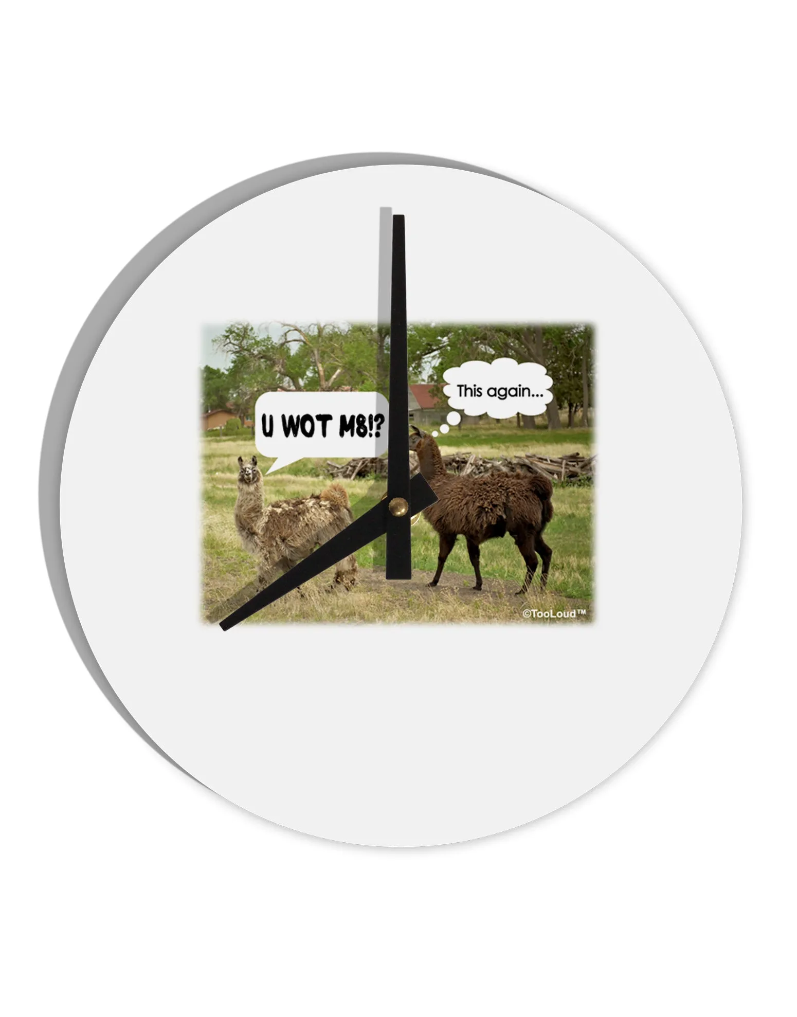 Angry Standing Llamas 10 InchRound Wall Clock  by TooLoud