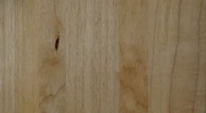 Maple | Wheat