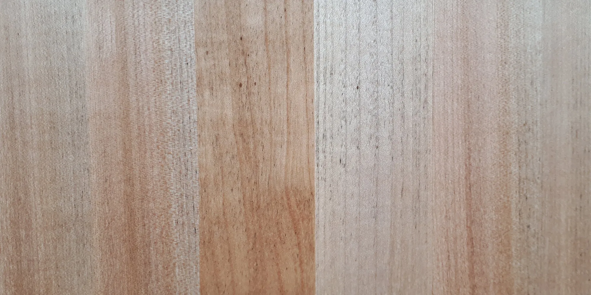 Maple