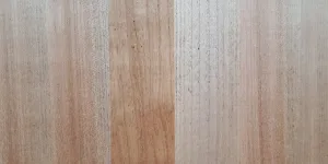 Maple