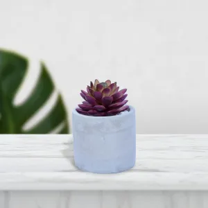 Mini Artificial Plant/Flower in Ceramic Pot/Planter