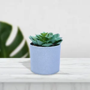 Mini Artificial Plant/Flower in Fiber Pot/Planter